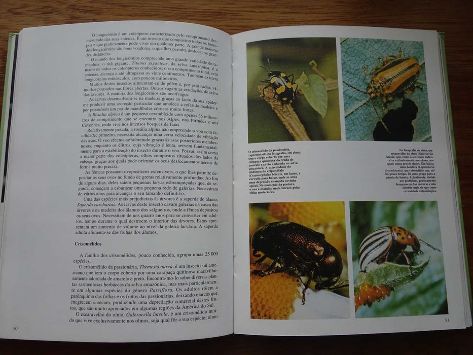 Os Segredos da Natureza - Artrópodes Terrestres