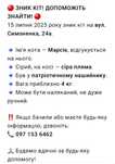 Допоможіть зник котик!!