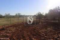 Terreno em Guia - Albufeira - Algarve - 36.850m2