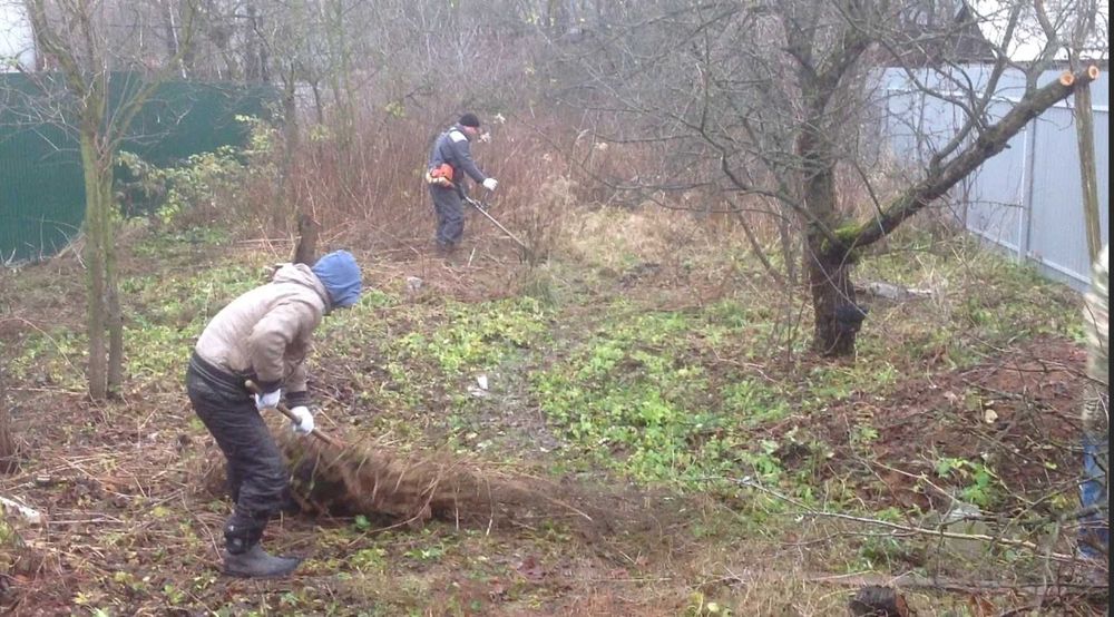 Расчистка УЧАСТКА /Уборка территории/СПИЛ корчевание деревьев/ВЫВОЗ