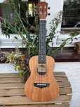 Ukulele koncertowe Arrow MH10 z pięknym pokrowcem