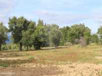 Quinta  para venda