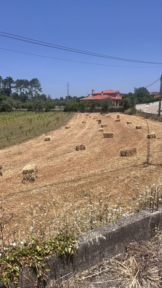Fardos de palha