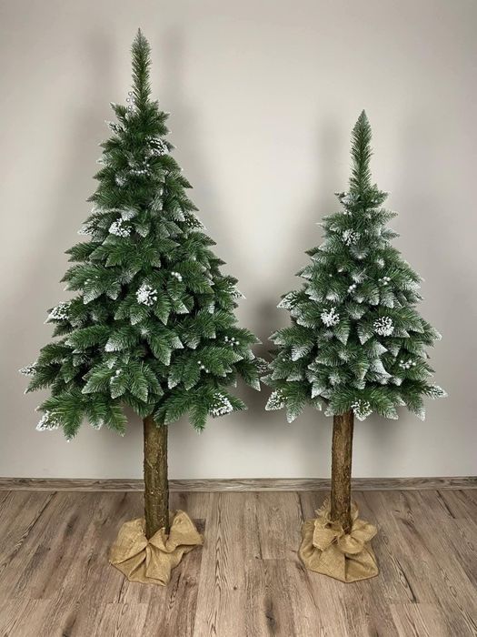 Choinka na Pniu zapraszamy