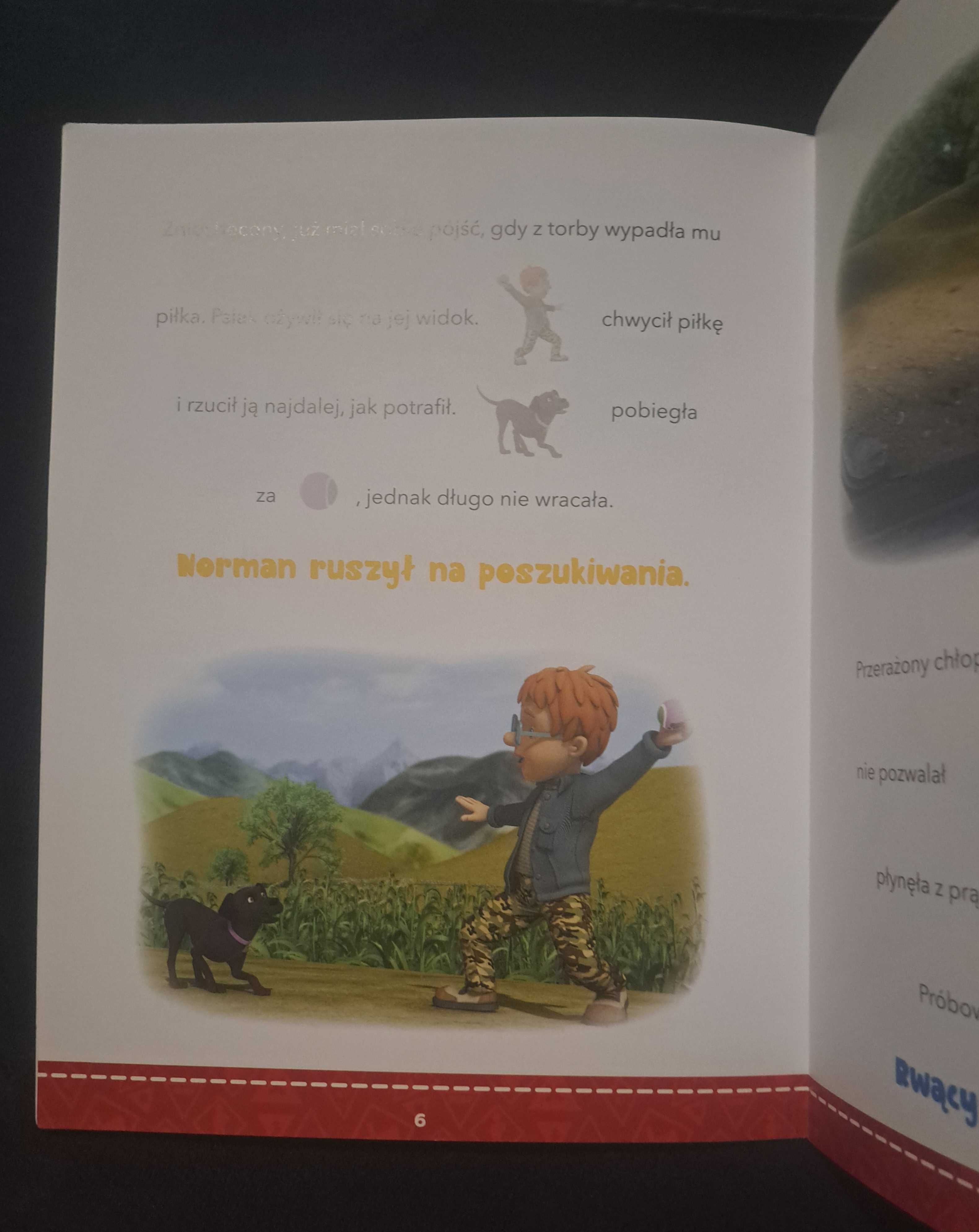 Książka Czytanki naklejanki. Katastrofa pod psem. Strażak Sam