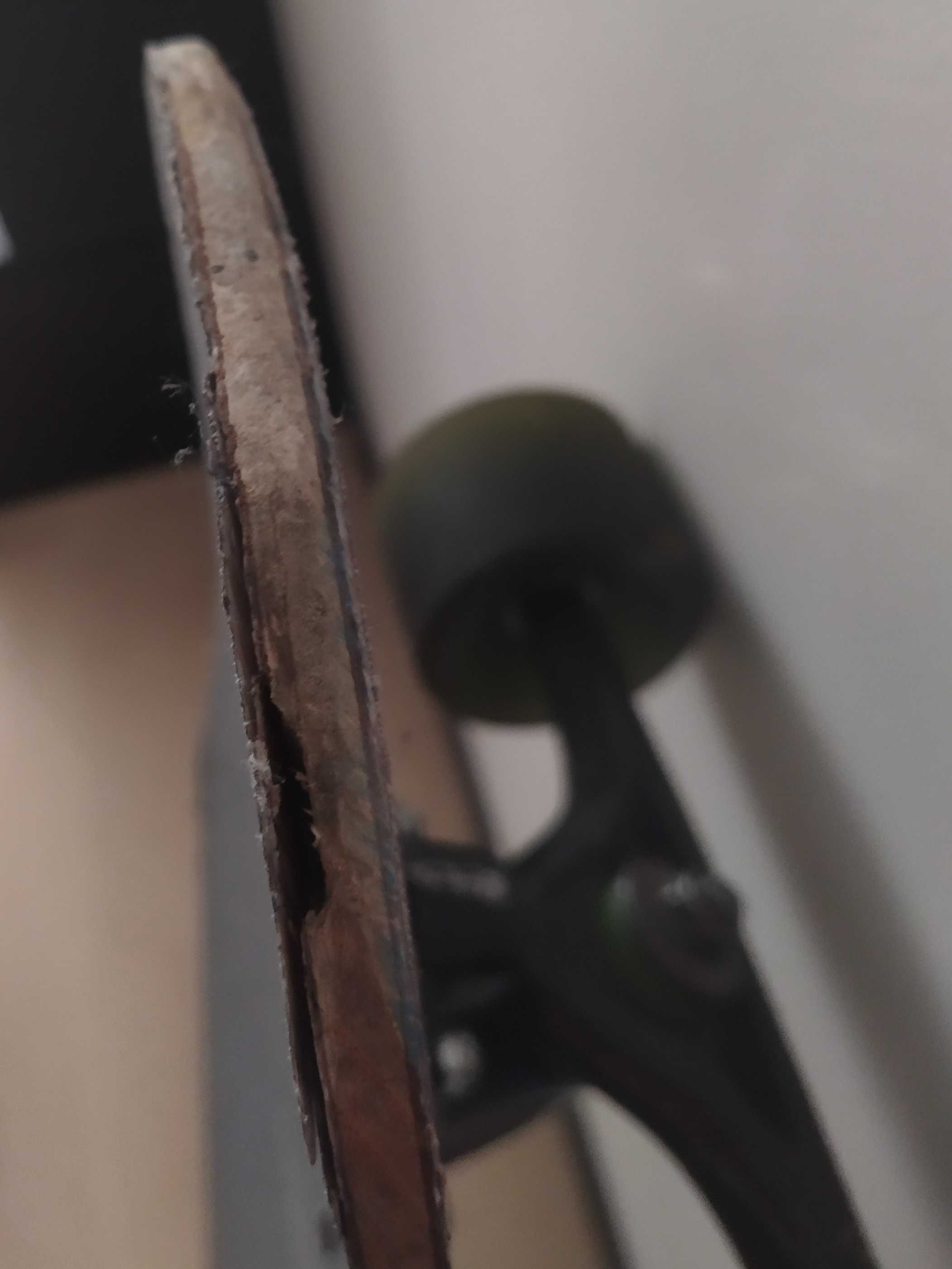 Longboard Alternative Ostrich