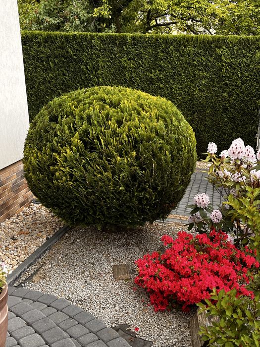 Koszenie i obsługa terenów zielonych