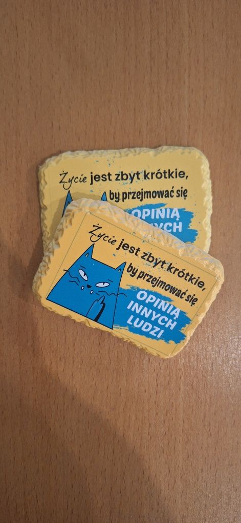 Magnes na lodówkę