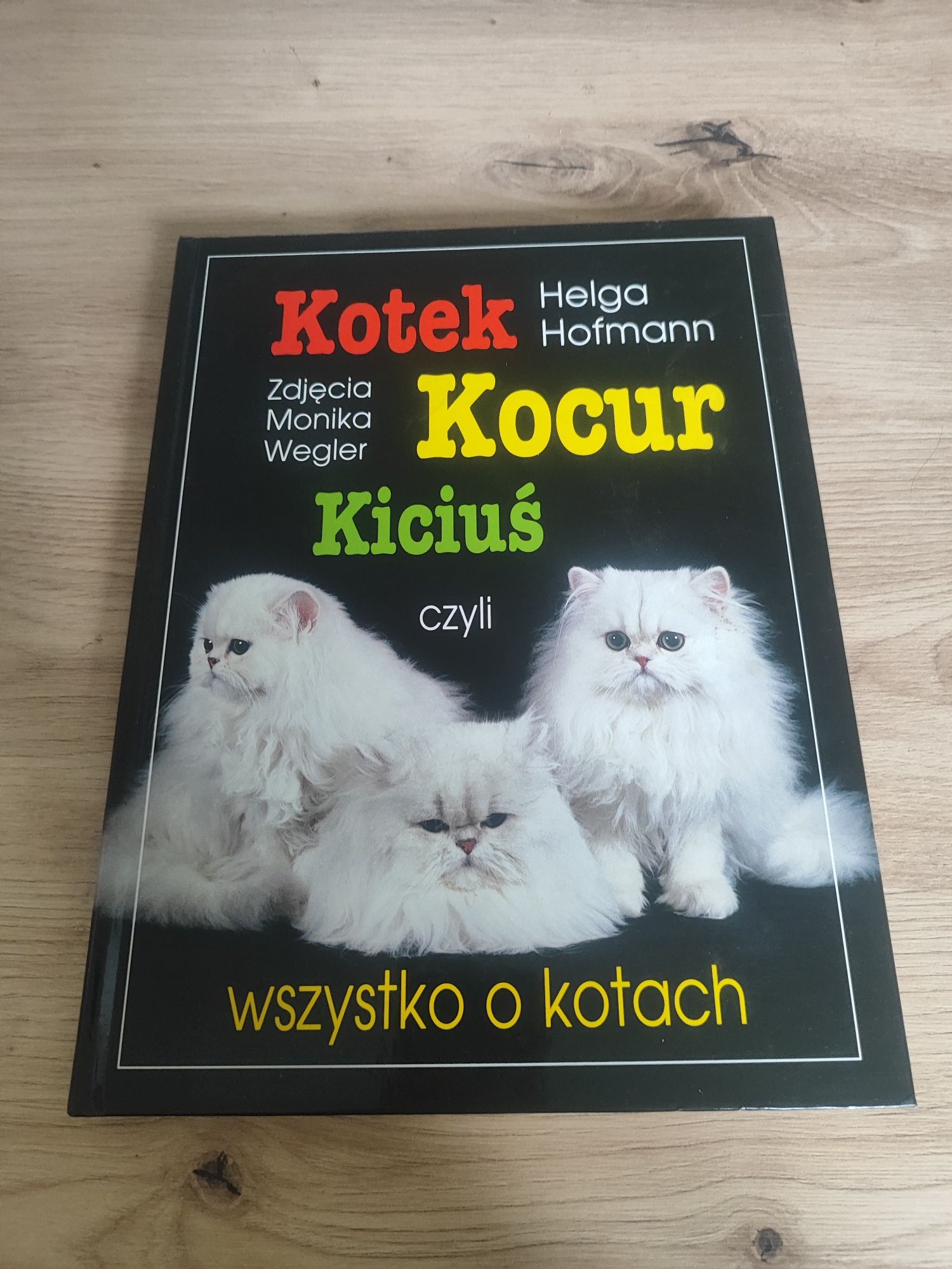 Hofmann Kotek Kocur Kiciuś książka
