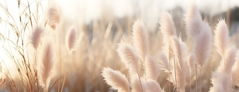 Tapeta ścienna 390x150