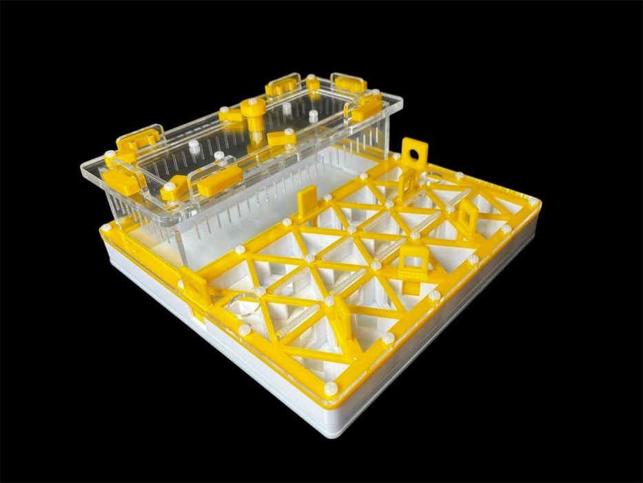 Профессиональная муравьиная ферма формикарий для муравьев в Украине