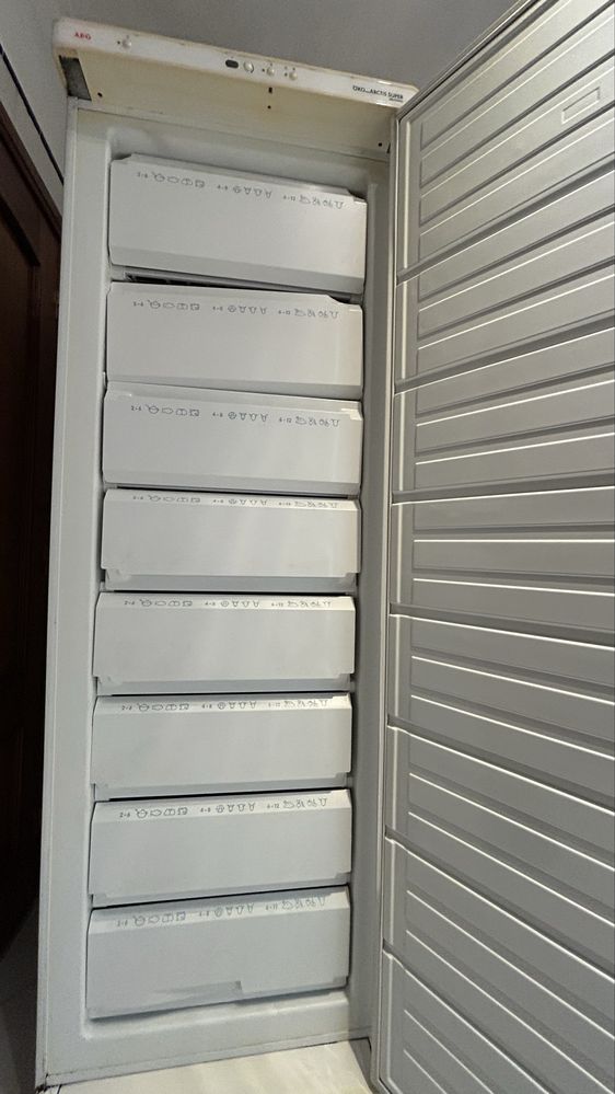 Arca congeladora vertical AEG