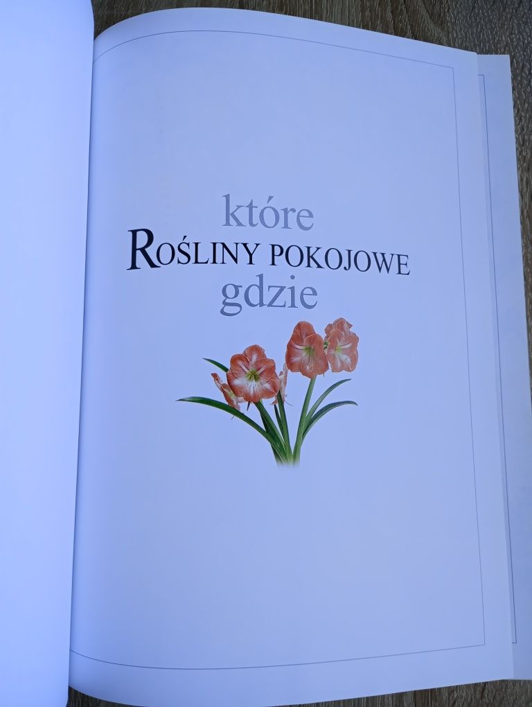 Książka Rośliny pokojowe