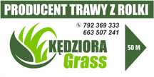 Trawa z rolki , premium, sportowa