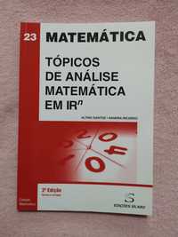 Tópicos de análise matemática em Rn