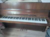 Pianino Legnica 900 zł