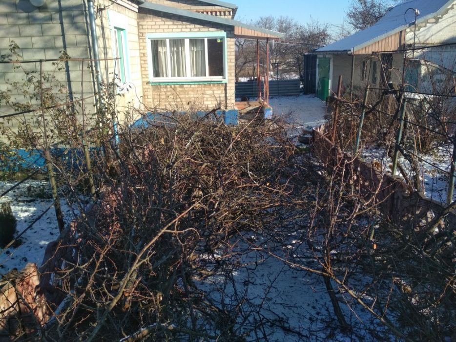 Аренда дробилки веток