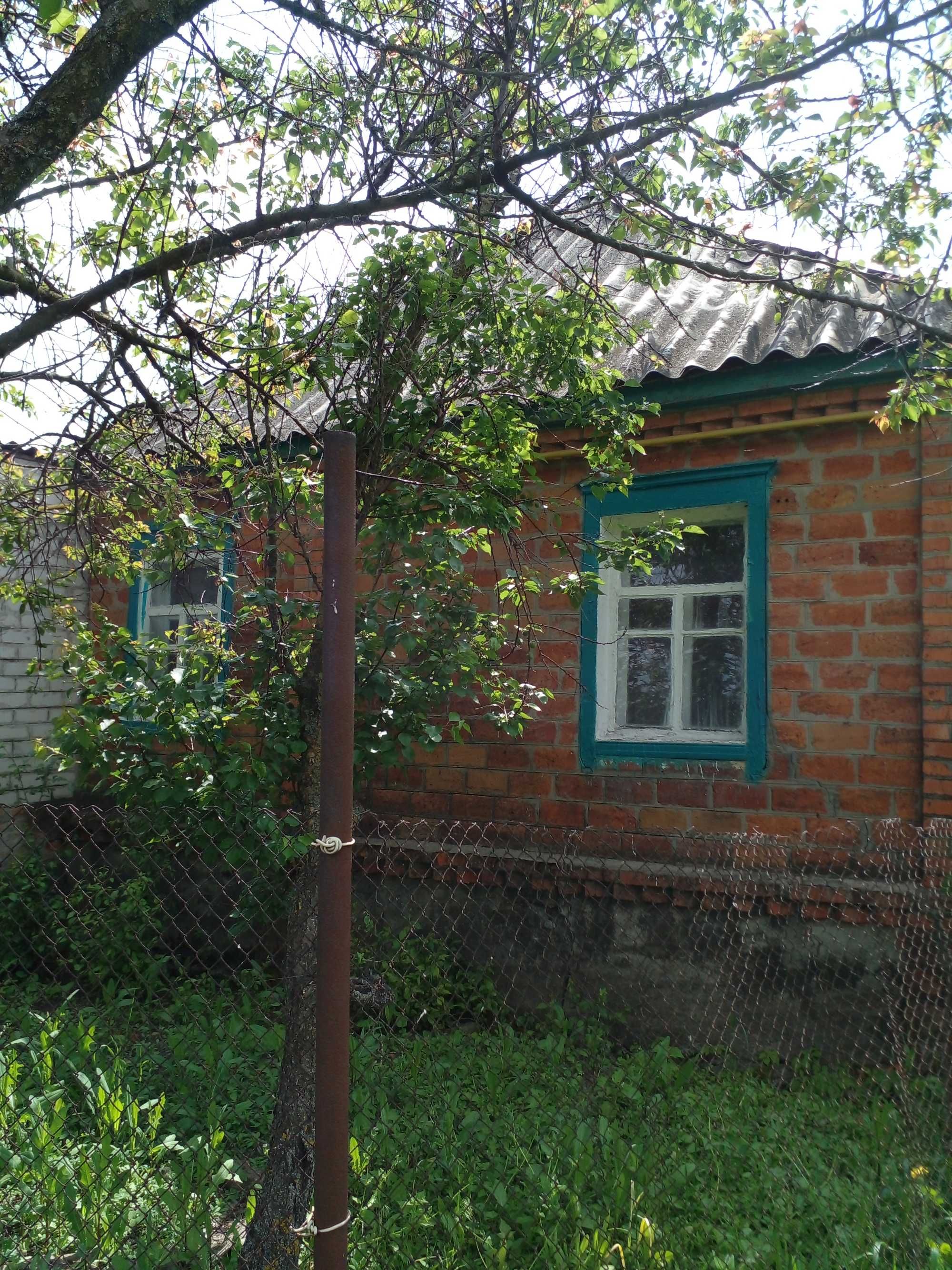 Продається будинок в селі Шелудьківка