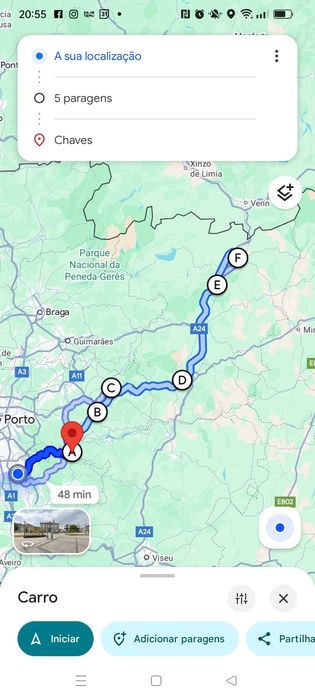 Entrega de coelhos anões Amarante