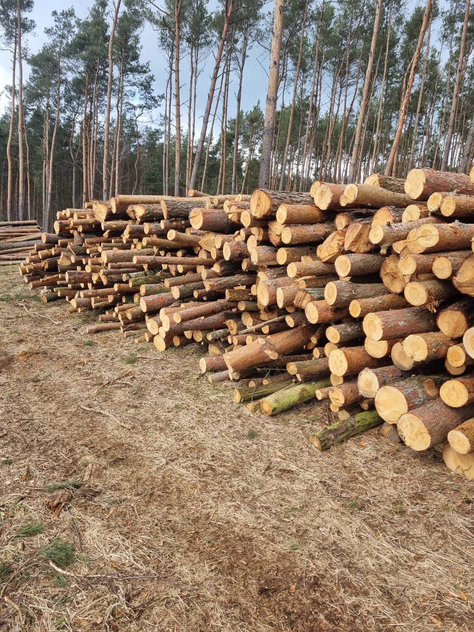 Sosna, Brzoza, Olszyna Drewno, Drzewo Opałowe, Kominkowe w Wałkach