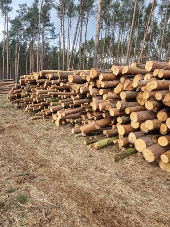 Sosna, Brzoza, Olszyna Drewno, Drzewo Opałowe, Kominkowe w Wałkach