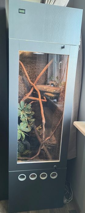 Terrarium dla gada