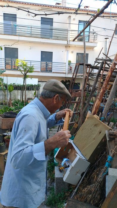 Mel de Eucalipto, Rosmaninho e Tomilho, diretamente do apicultor