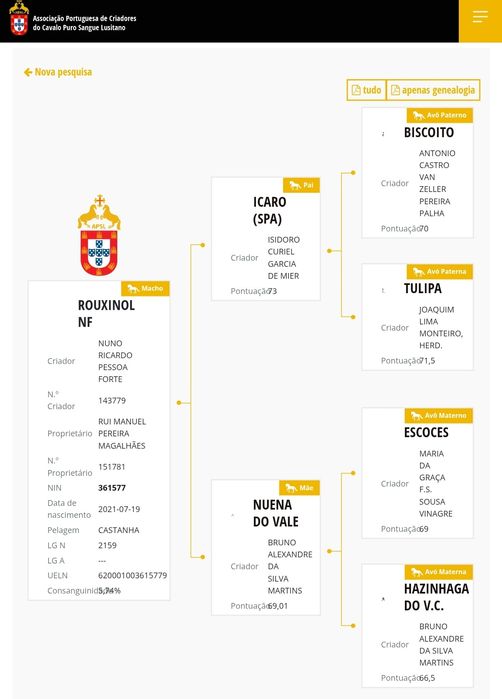 Poldro letra R montado nos três andamentos