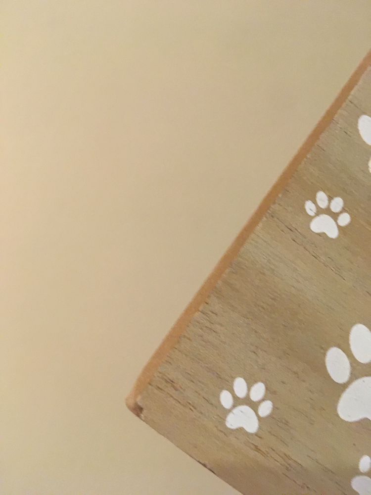 Tabliczka wieszak haczyki dog in my home