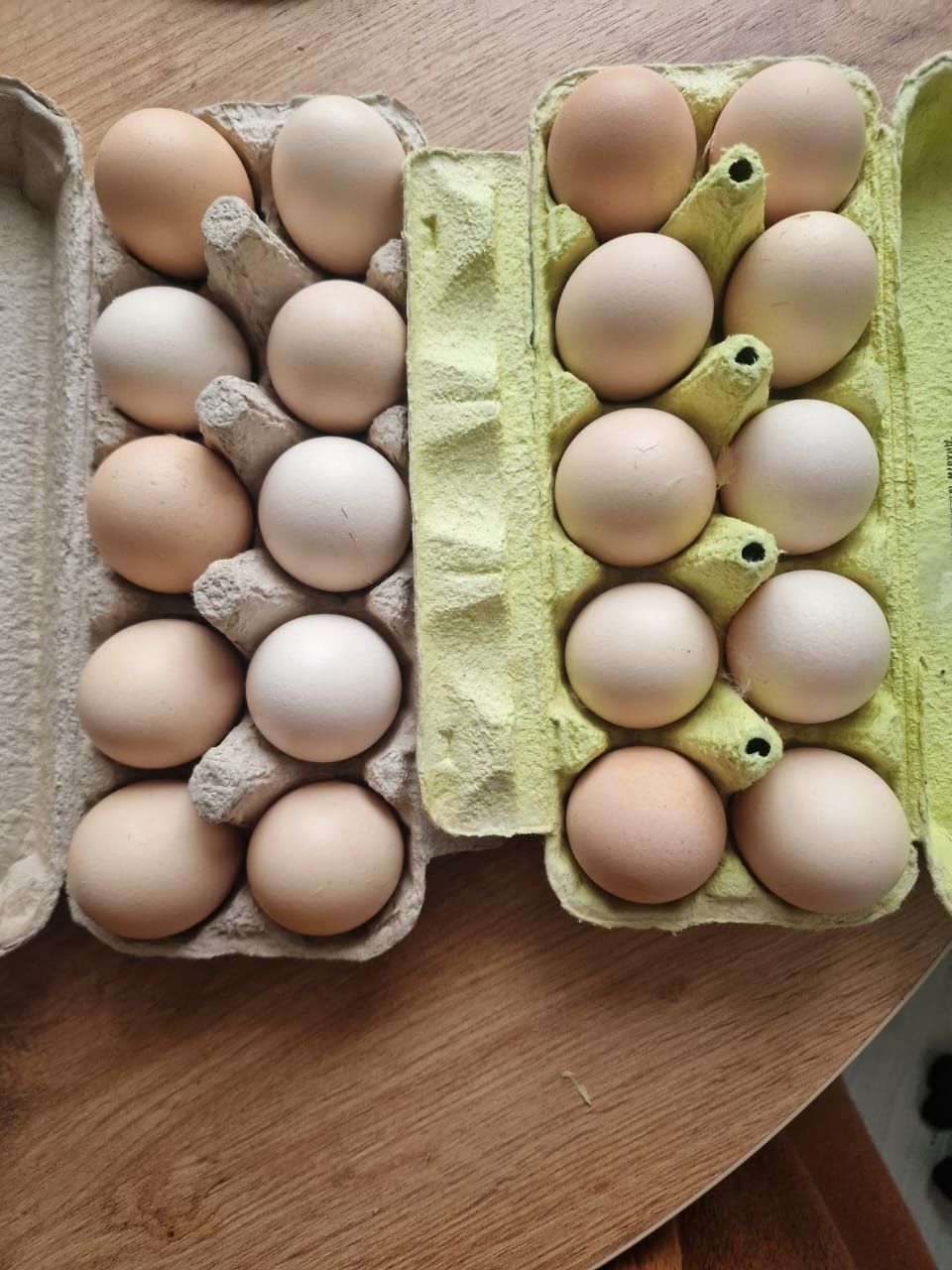 Продам інкубаційні яйця