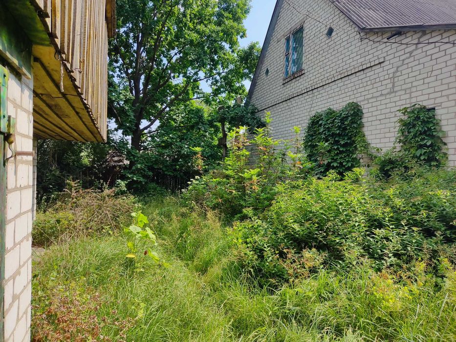 Будинок у с. Опеньки, Чернігівська область