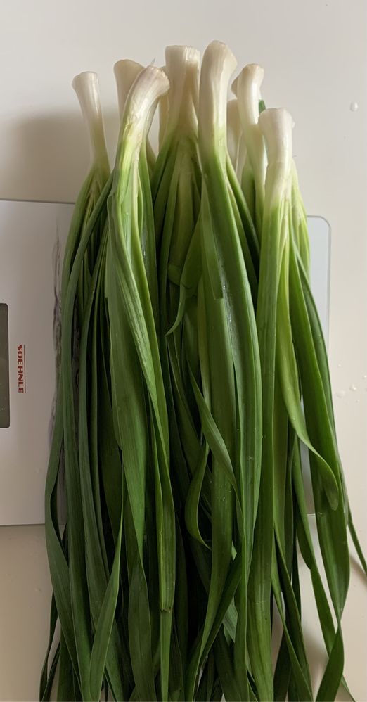 Цибуля слизун зелена сушена