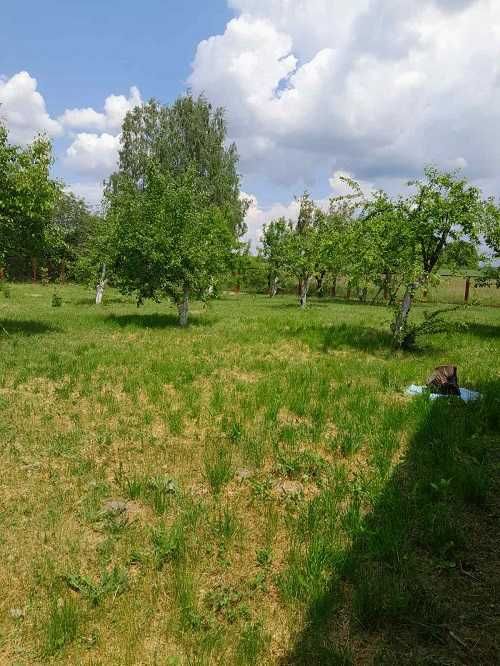 Цегляний двоповерховий будинок с.Войкове Згурівського району