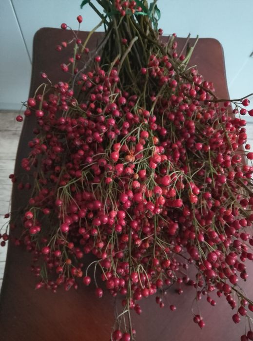 Bukiety gałązki dzikiej róży