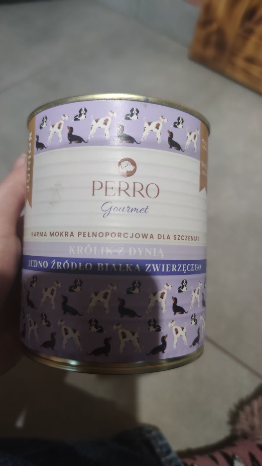 Karma mokra perro królik szczeniak