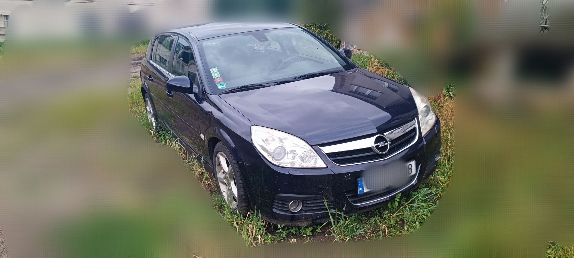 Opel Signum 3.0 CDTI uszkodzony w całości na części