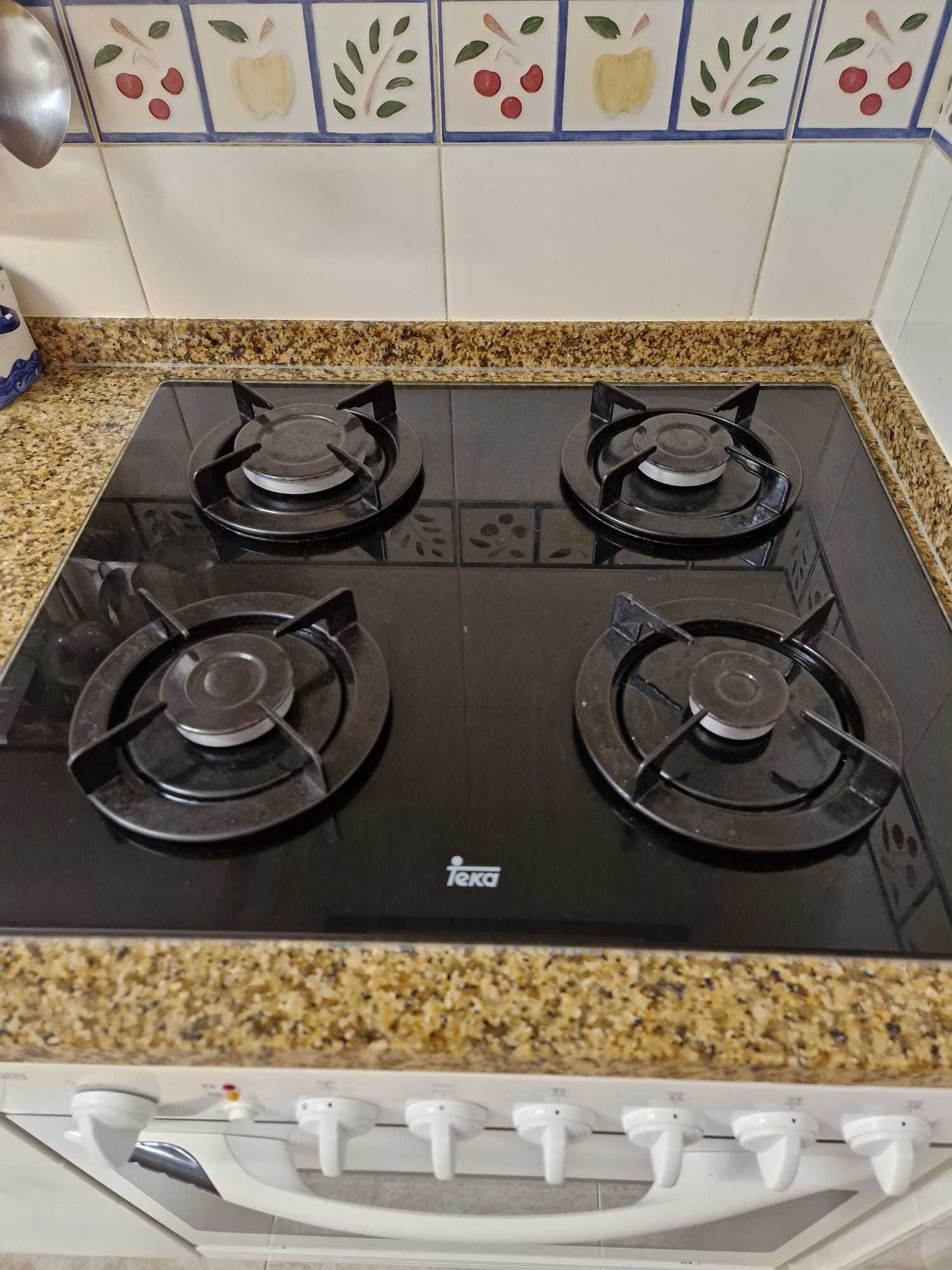 Placa e Forno Teka