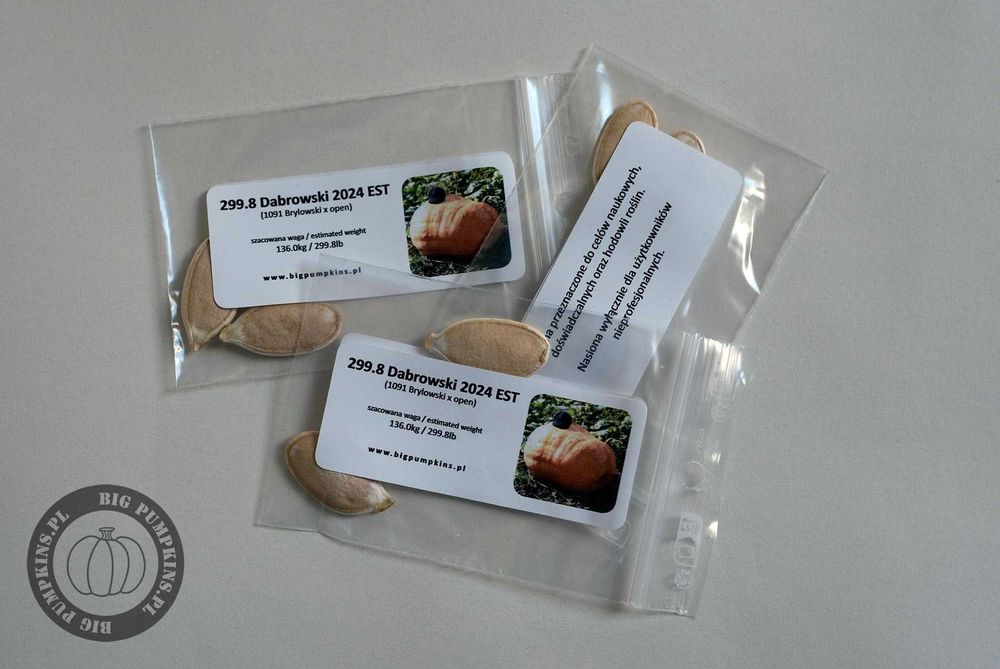 Dynia Olbrzymia - 237kg 169kg 136kg - Zestaw Nasion Dla Początkujących