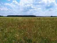 Продам земельну ділянку в Прилуцьку