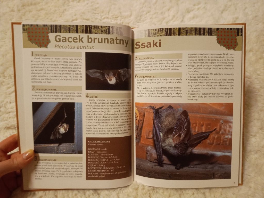 Książka Zwierzęta chronione w Polsce - wydawnictwo Ibis