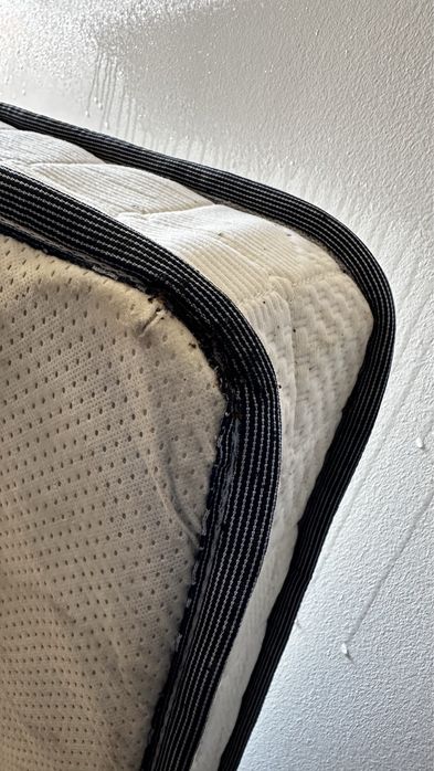 DESINFESTAÇÃO CONTROLO D EPRAGAS PERCEVEJOS BARATAS PULGAS TÉRMITAS