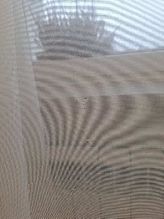 Firana firanka salon sypialnia