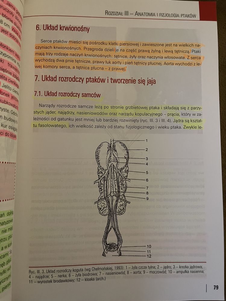 Produkcja zwierząt rolnictwo cz 1