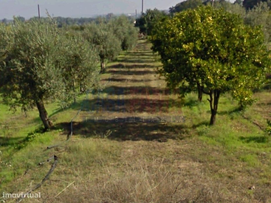 Terreno urbano na chamusca - Santarém
