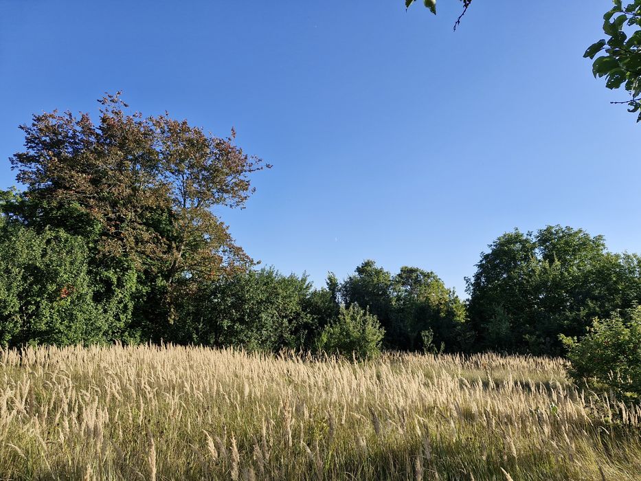 Маєток в історичному центрі Седніва