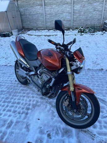 Honda Hornet pc 36 2005r