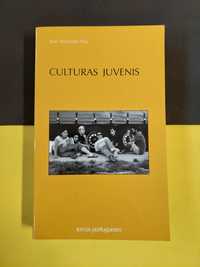 José Machado Pais - Culturas juvenis