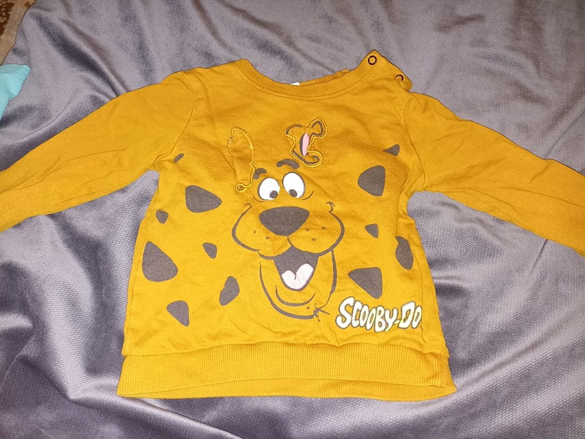 Bluza Scooby-Doo 86