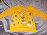 Bluza Scooby-Doo 86