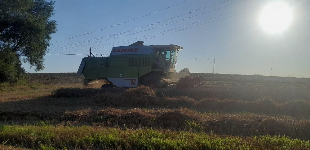 Sprzedam claas dominator 98s.